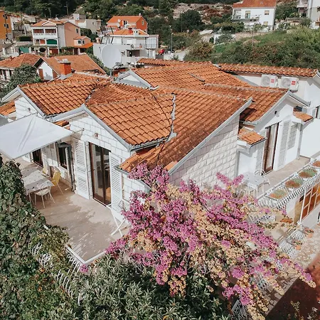 Radic - Affordable By The *